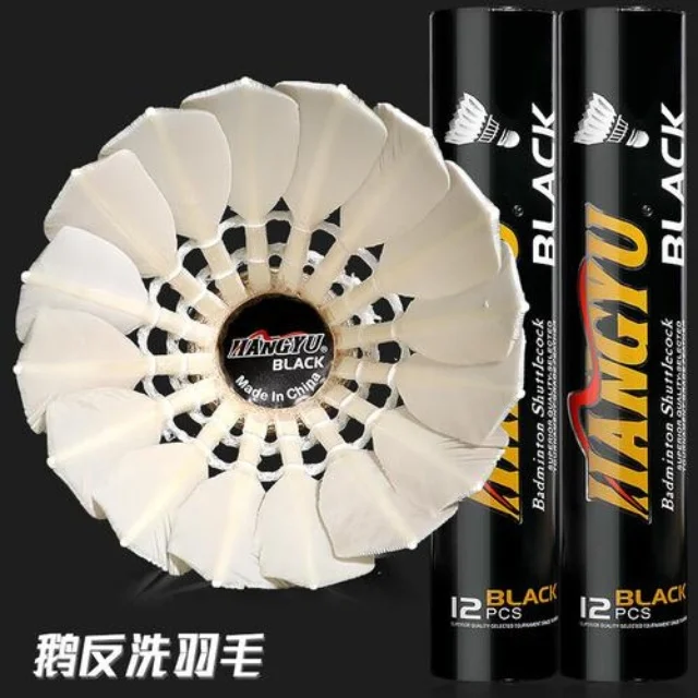 掘金队西部排名持续领先引关注